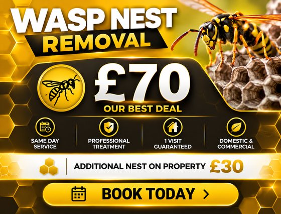 Wasp nest removal £70 fixed price, additional nest £30, same day service, one visit guaranteed, domestic and commercial