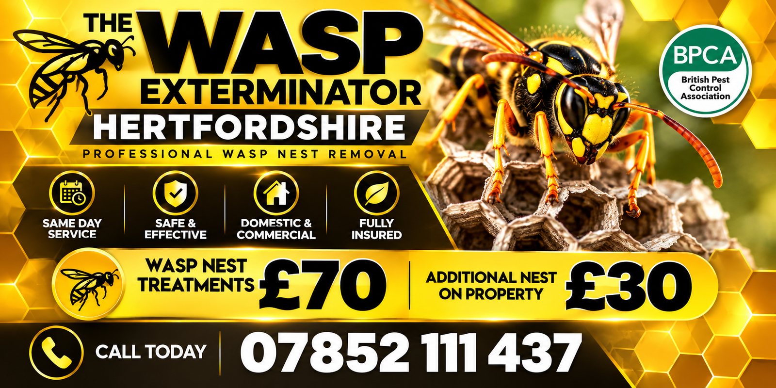 Wasp Exterminator Hertfordshire, professional wasp nest removal, same day service, £70 fixed price, call 07852 111 437